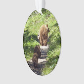Bruin Beer familie Ornament (voorkant)