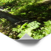 Bruin Beer familie Poster (Hoek)