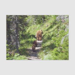 Bruin Beer familie Tissuepapier