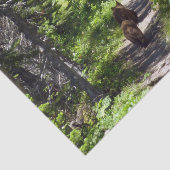 Bruin Beer familie Tissuepapier (Detail)