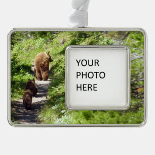 Bruin Beer familie Verzilverd Kader Ornament