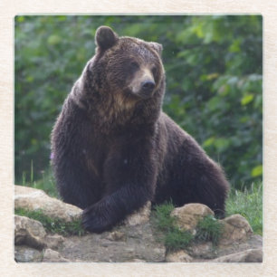 Bruin beer glazen onderzetter