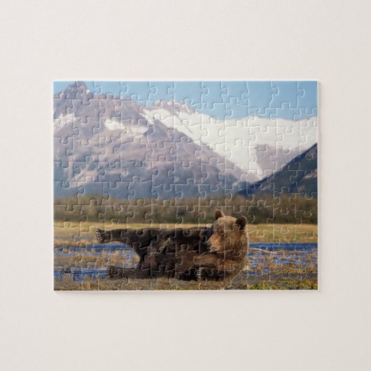 Bruin beer, grizzly beer op zijn rug legpuzzel (Horizontaal)