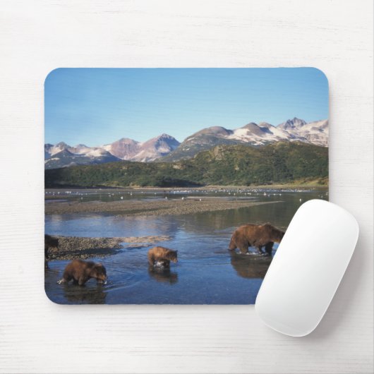 Bruin beer, grizzly beer, zeug en kubben in muismat (Met muis)