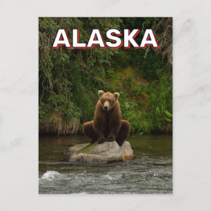 Bruin Beer in Alaska Briefkaart