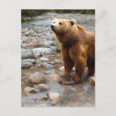 Bruin Beer in Stream Briefkaart (Voorkant)