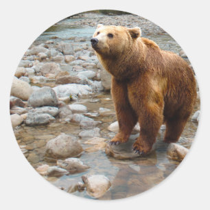 Bruin Beer in Stream Ronde Sticker
