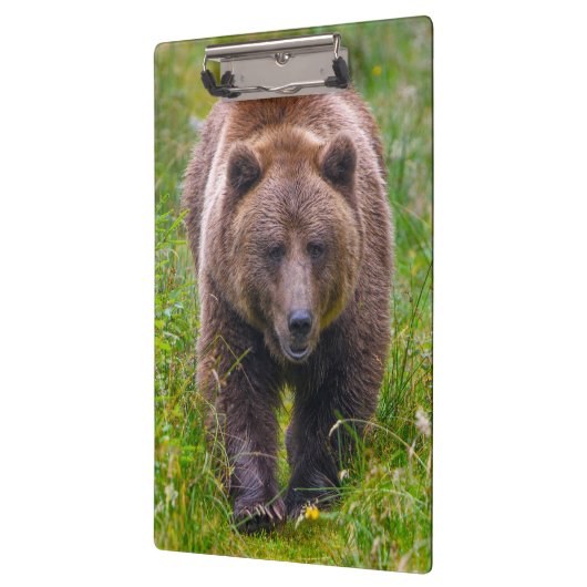 Bruin Beer Klembord (Links)