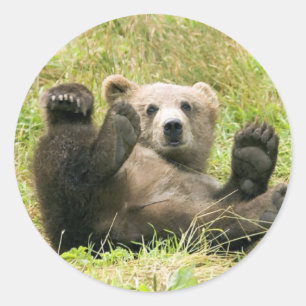 Bruin Beer Kodiak welp geschenken Ronde Sticker