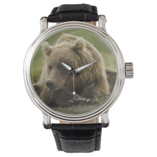 Bruin beer, of kustGrizzly Beer, Ursus Horloge