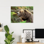 Bruin Beer Poster (Thuiskantoor)
