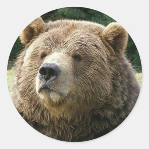 Bruin Beer Sticker