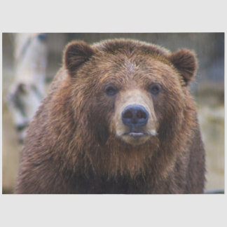 Bruin Beer Tissuepapier