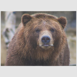 Bruin Beer Tissuepapier