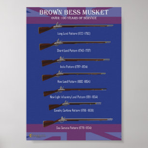 Bruin-bess-evolutie Poster