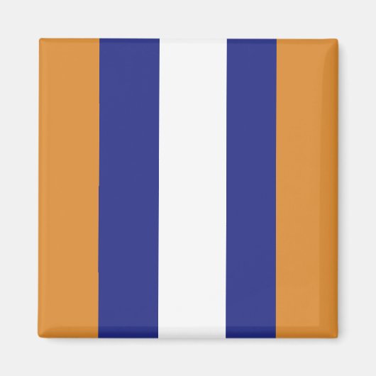 Bruin, blauw en witte strepen magneet (Voorkant)