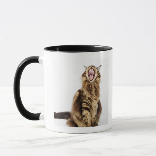 Bruin Classic Main Coon Tabby Mok (Links)