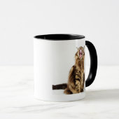 Bruin Classic Main Coon Tabby Mok (Voorkant rechts)