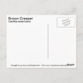 Bruin Creeper Briefkaart (Achterkant)