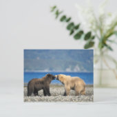 Bruin draag, grizzly, spel op het strand, briefkaart (Staand voorkant)