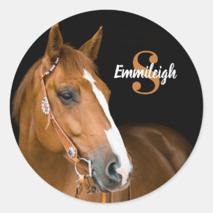 Bruin driekwart paard Zwarte monogram Naam Initiaa Ronde Sticker