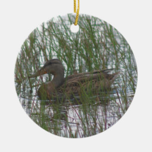 Bruin Duck Wildlife Animal Ornament