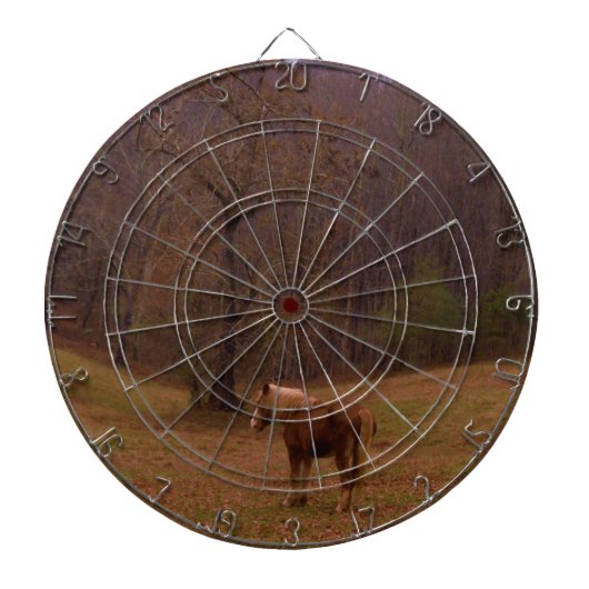 Bruin en blond paard in een veld dartbord (Voorkant)