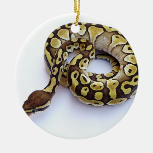 Bruin en goudbal Python 2 Keramisch Ornament (Voorkant)