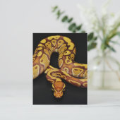Bruin en goudbal Python Briefkaart (Staand voorkant)
