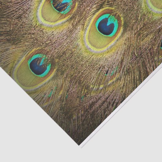 Bruin- en goudpacock tissuepapier (Detail)