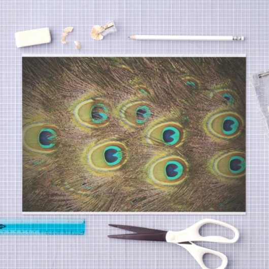 Bruin- en goudpacock tissuepapier (Craft)