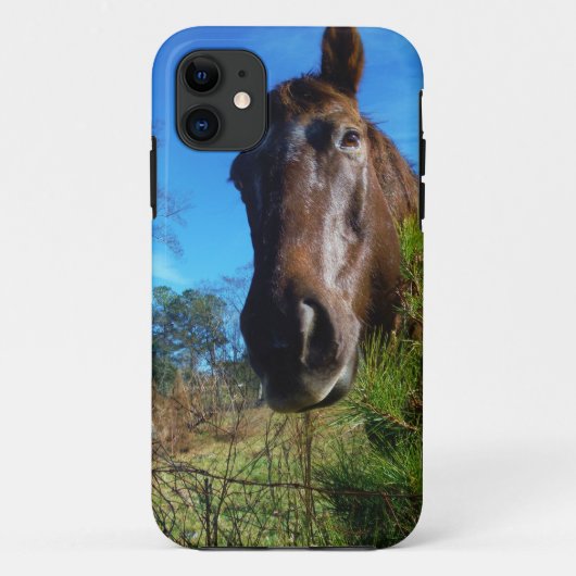 Bruin en roomkleurig paardenblauw Case-Mate iPhone case (Achterkant)