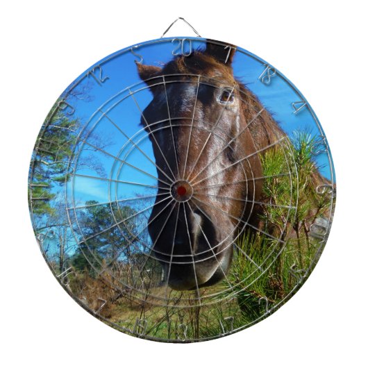 Bruin en roomkleurig paardenblauw dartbord (Voorkant)