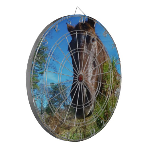Bruin en roomkleurig paardenblauw dartbord (Voorkant Links)