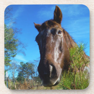 Bruin en roomkleurig paardenblauw drankjes onderzetter