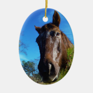 Bruin en roomkleurig paardenblauw keramisch ornament