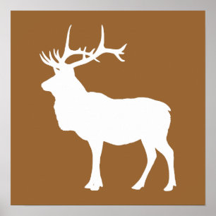 Bruin en White Elk Poster
