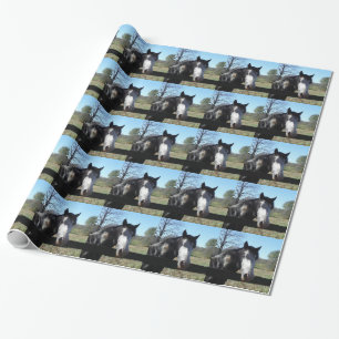 Bruin en wit, gekleurd paard, heldere blauwe hemel cadeaupapier