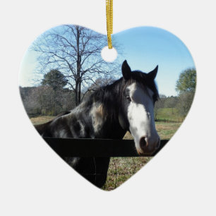 Bruin en wit, gekleurd paard, heldere blauwe hemel keramisch ornament