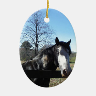 Bruin en wit, gekleurd paard, heldere blauwe hemel keramisch ornament