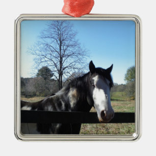 Bruin en wit, gekleurd paard, heldere blauwe hemel metalen ornament