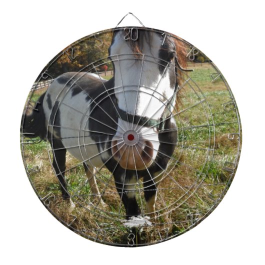 Bruin en wit, geverfd paard, koninginnenpalm dartbord (Voorkant)