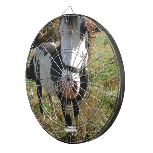 Bruin en wit, geverfd paard, koninginnenpalm dartbord (Voorkant Rechts)