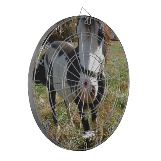 Bruin en wit, geverfd paard, koninginnenpalm dartbord (Voorkant Links)