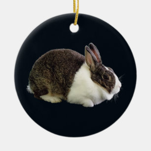 Bruin en wit Nederlands konijn Keramisch Ornament
