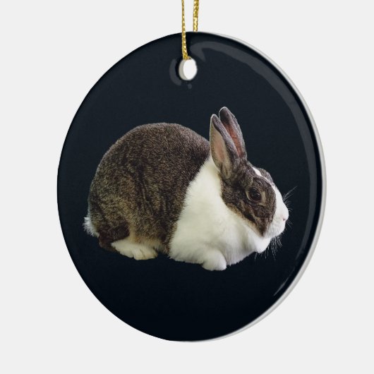 Bruin en wit Nederlands konijn Keramisch Ornament (Links)