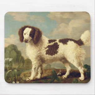 Bruin en wit Norfolk of Water Spaniel, 1778 (olie Muismat
