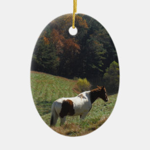 Bruin en wit paard in najaarsvijver keramisch ornament