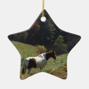 Bruin en wit paard in najaarsvijver keramisch ornament
