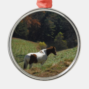 Bruin en wit paard in najaarsvijver metalen ornament